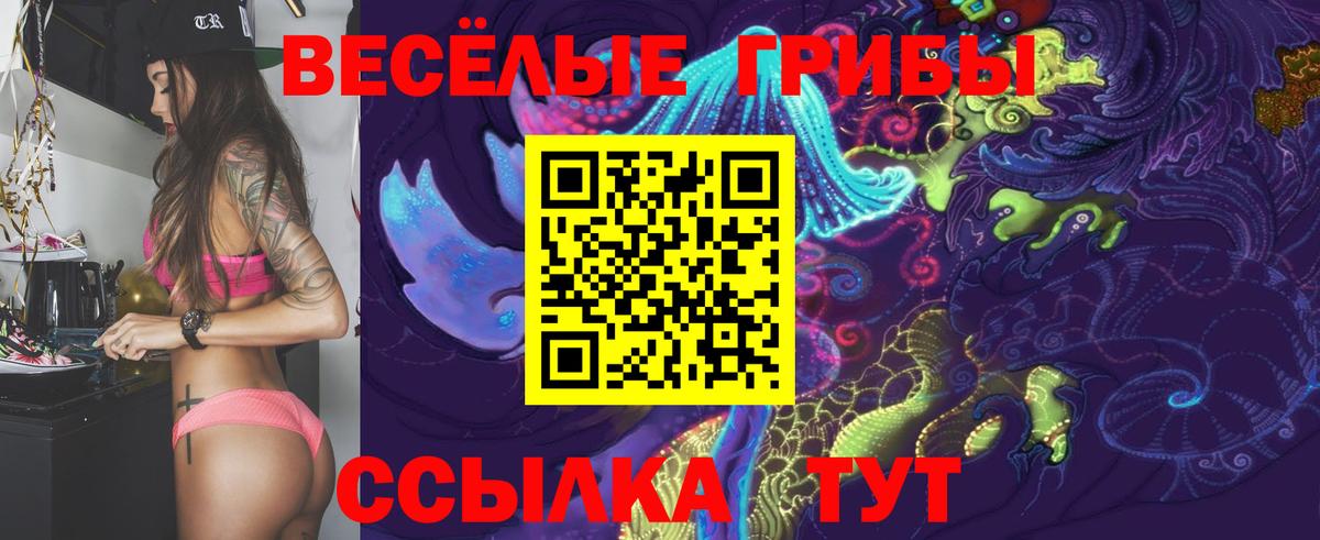 купить закладку  Галлюциногенные грибы MAGIC MUSHROOMS  Псилоцибиновые грибы GOLDEN TEACHER  Вход с VPN  Заинск 